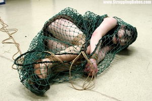 Fresh dark hair cutie in black suspended in fishnet, gagged and bound - Picture 1