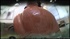 watch oiled latina throwing