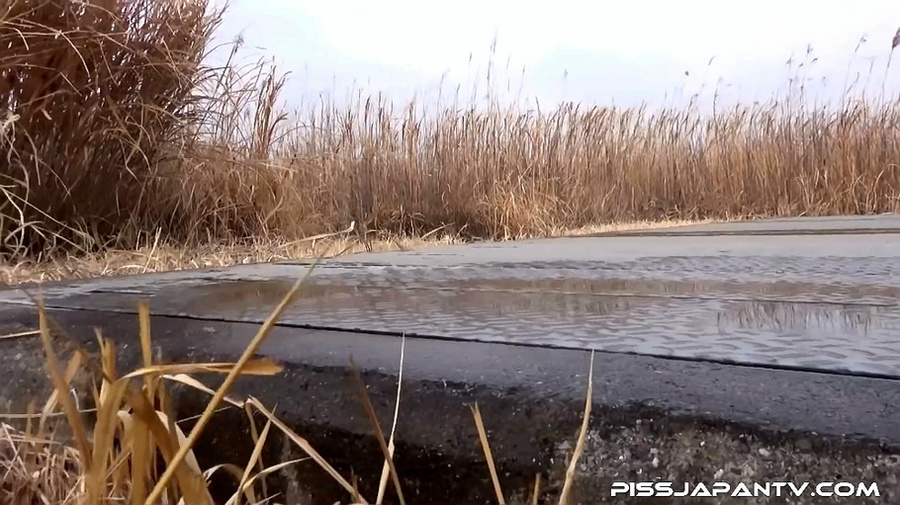 Two Japanese coeds have fun in nature and t - XXX Dessert - Picture 10