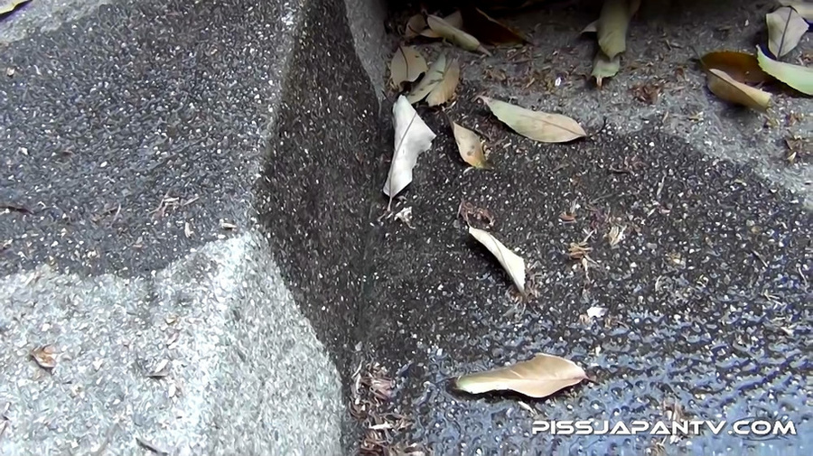 Voyeur filmed hot Japanese bitches peeing i - XXX Dessert - Picture 4
