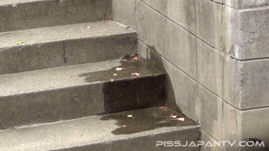 Japanese hotties with unshaved pussies are  - XXX Dessert - Picture 16