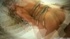 tattooed brown-eyed brunette slut