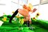Kinky blond bee is having sexy fun in her special garden with sunflowers