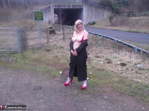 Blonde milf is teasing with her massive natural jugs in the outdoors - XXXonXXX - Pic 9