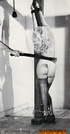 Vintage bitches are wearing seductive outfits, while posing and teasing