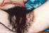 Playful sluts open their panties showing off their hairy pussies before