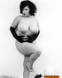 bitches with big round