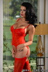 Sexy slut in a red lingerie got her pussy pounded good