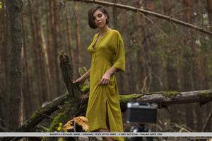 Short haired brunette in long green dres - Picture 4