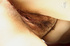 foxy chick slowly strips