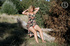 Steaming hot blonde teases with her alluring body then strips down her