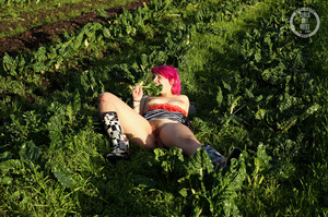 Pink haired hottie strips down her multi colored panty and expose her lusty boobs and juicy pussy in different poses in a vege garden as she displays her banging body in black and white dress and boots. - Picture 12