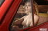 steaming hot chick shows