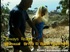 pigtailed skinny blonde gets