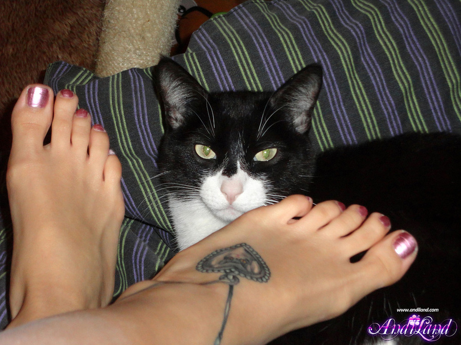 Bazinga t-shirt nerdy brunette licking her  - XXX Dessert - Picture 12