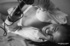 Lovely teen with perky tits naked while playing her video game