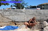 Blonde milf exhhibitionist sits by concrete wall during a warm day wearing