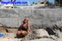 Blonde milf exhhibitionist sits by concrete wall during a warm day wearing