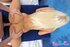 hot blonde teen gets