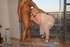 blonde white lingerie and