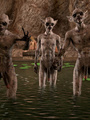 Satanic 3D cavemen nailed three slender - Picture 6