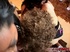 two black sluts take