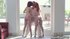 Sexy latina in black undies gets her fuckholes filled in a threesome