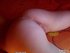 beautiful plump babe bed