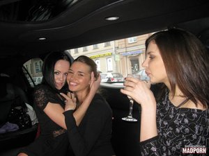 Stunning bimbos takes party in the limo and gets naked to masturbate. - XXXonXXX - Pic 1