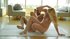 kinky blonde shows flexibity