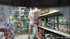 Sporting a short, striped, dress, this blonde flaunts her sexy body in