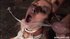 Completely bound with rope, she kneels in the middle of the room, taking