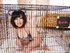 Japanese bondage