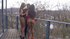 european brunette threesome
