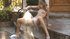 perfect hot masturbation orgasm