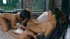 european sensual lesbian sex