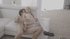 Uniform blonde teen braces