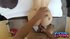 blonde pov teen fuck