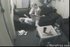 home security cameras catch