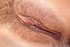Lovely pussy hd