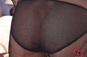 Vixen european blonde - XXX Dessert - Picture 1