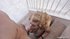 latina young blonde big