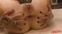 new hard rough sex