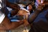 Bondage petite gangbang