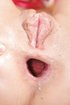 bunny anal