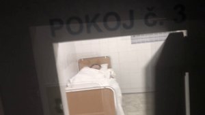 Pretty czech student - XXX Dessert - Picture 11