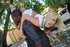 American interracial anal creampie