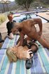 American interracial outside