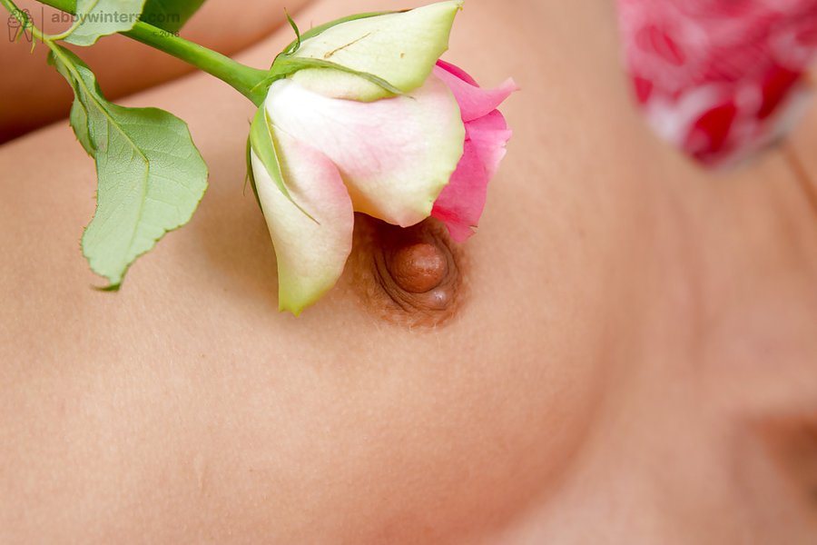 European lesbian homemade - XXX Dessert - Picture 16